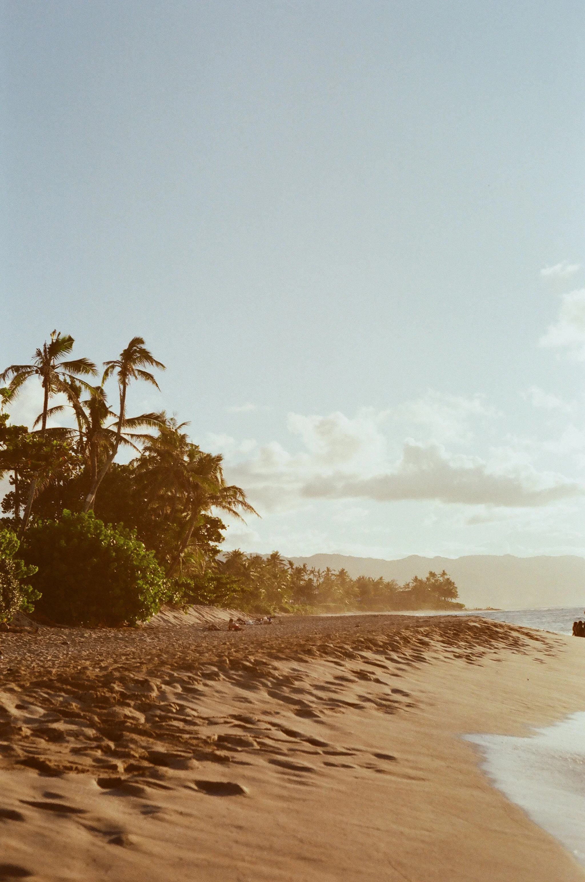 Hawaii on Film 