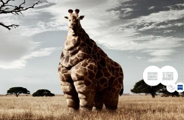 zeiss-binoculars-jockey-giraffe-print-885-preview-adeevee.jpeg