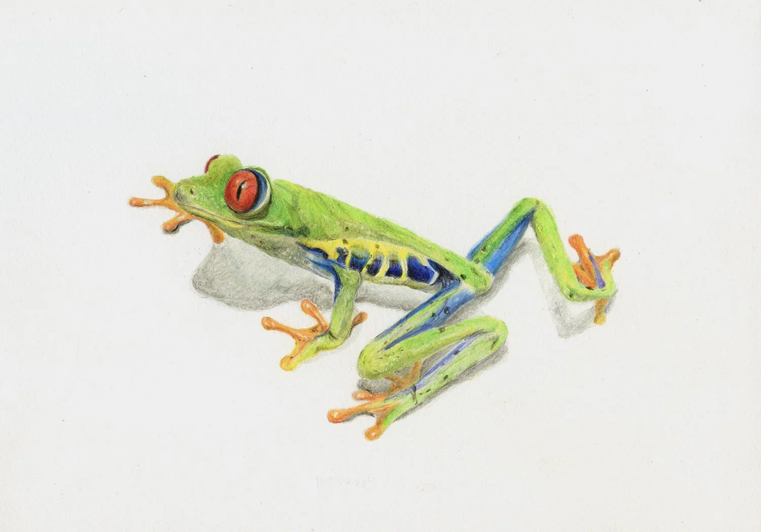 froggo adjust share.jpg