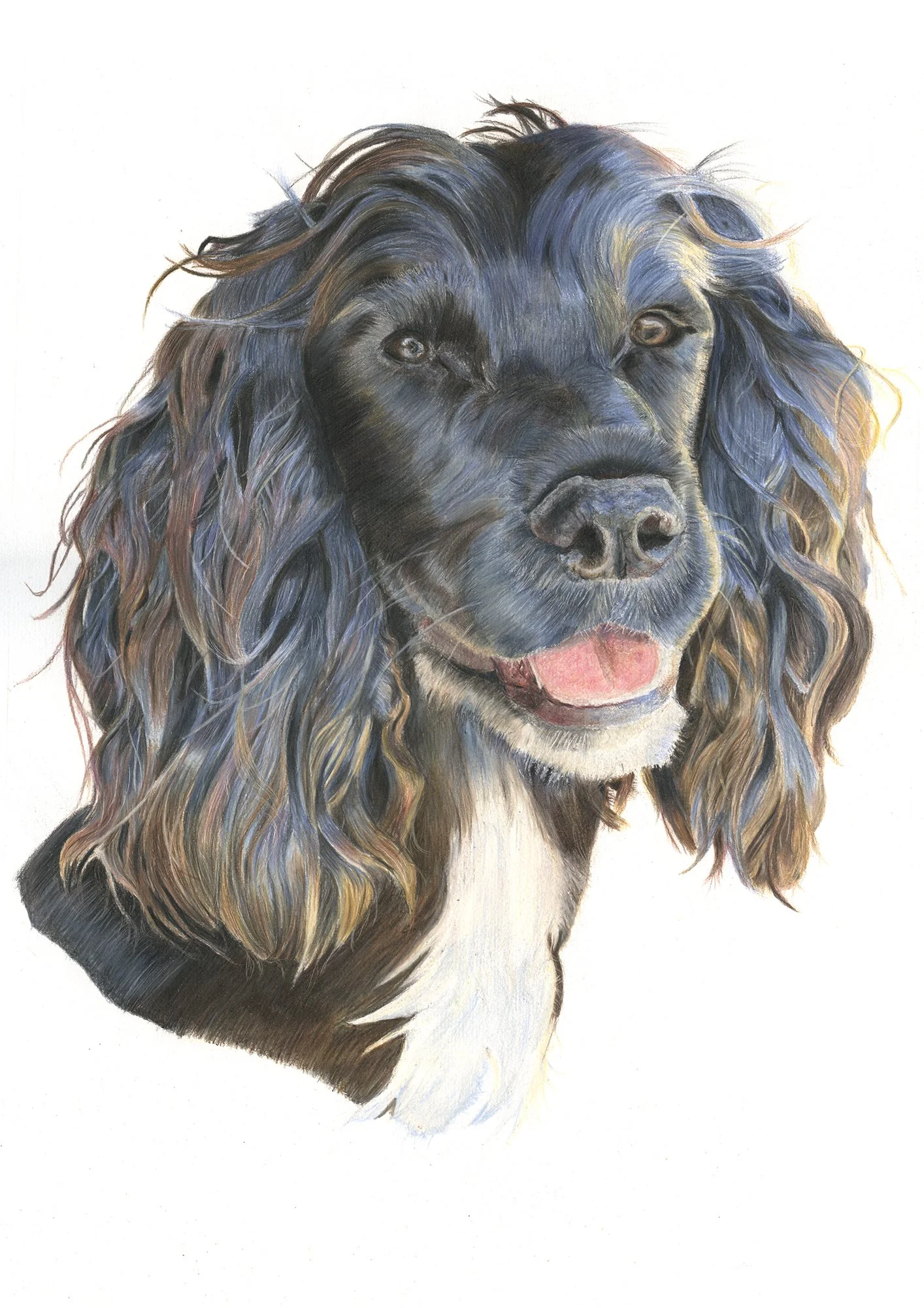 Hetty_Scan.jpg