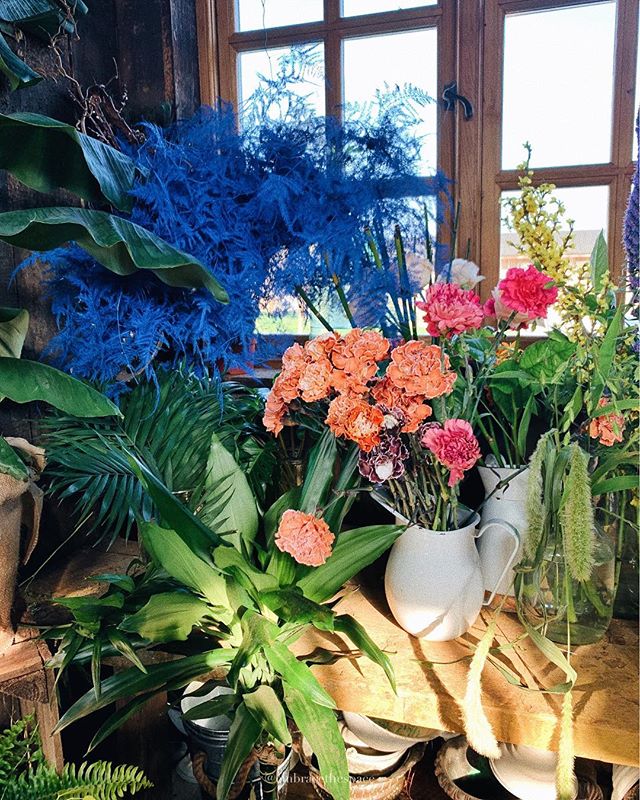 Can’t stop daydreaming about this magical flower shop today. England truly has some of the most beautiful flowers I’ve ever seen. 💙
#ihavethisthingwithflowers