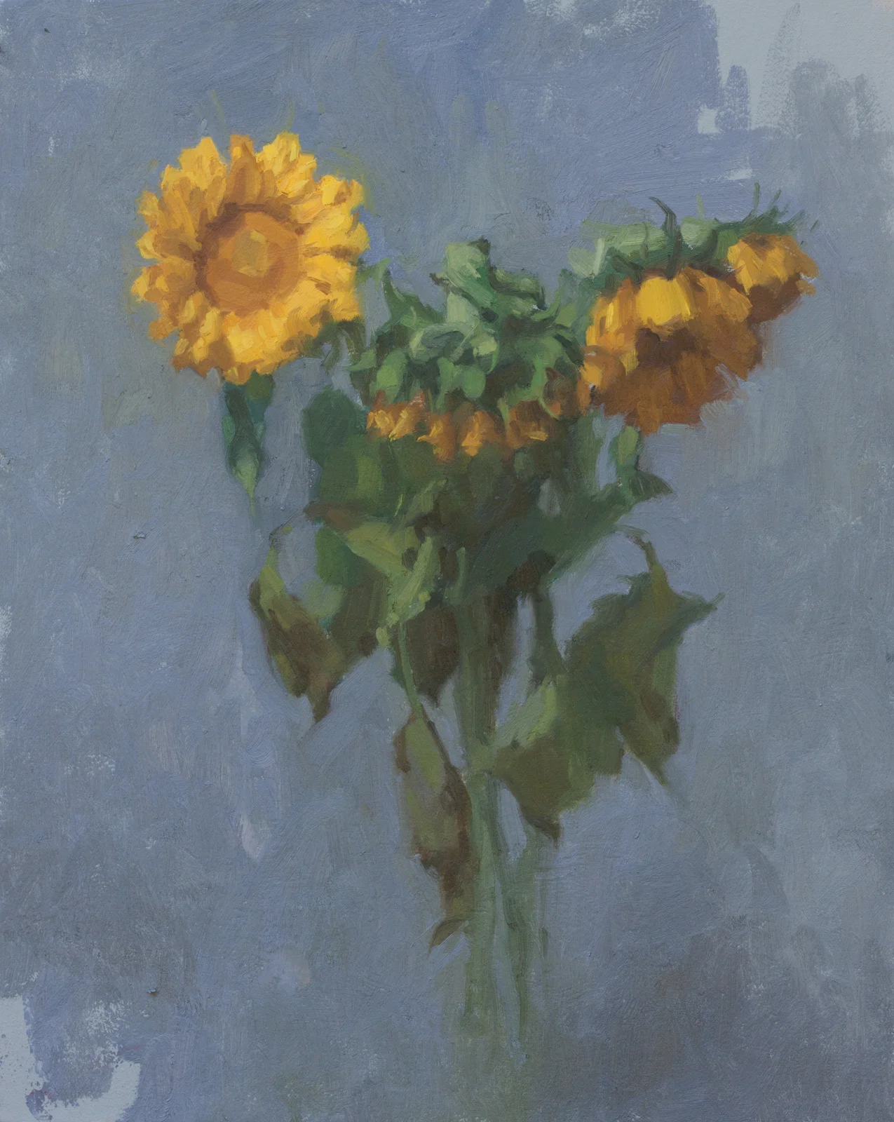 Sunflowers On Gray