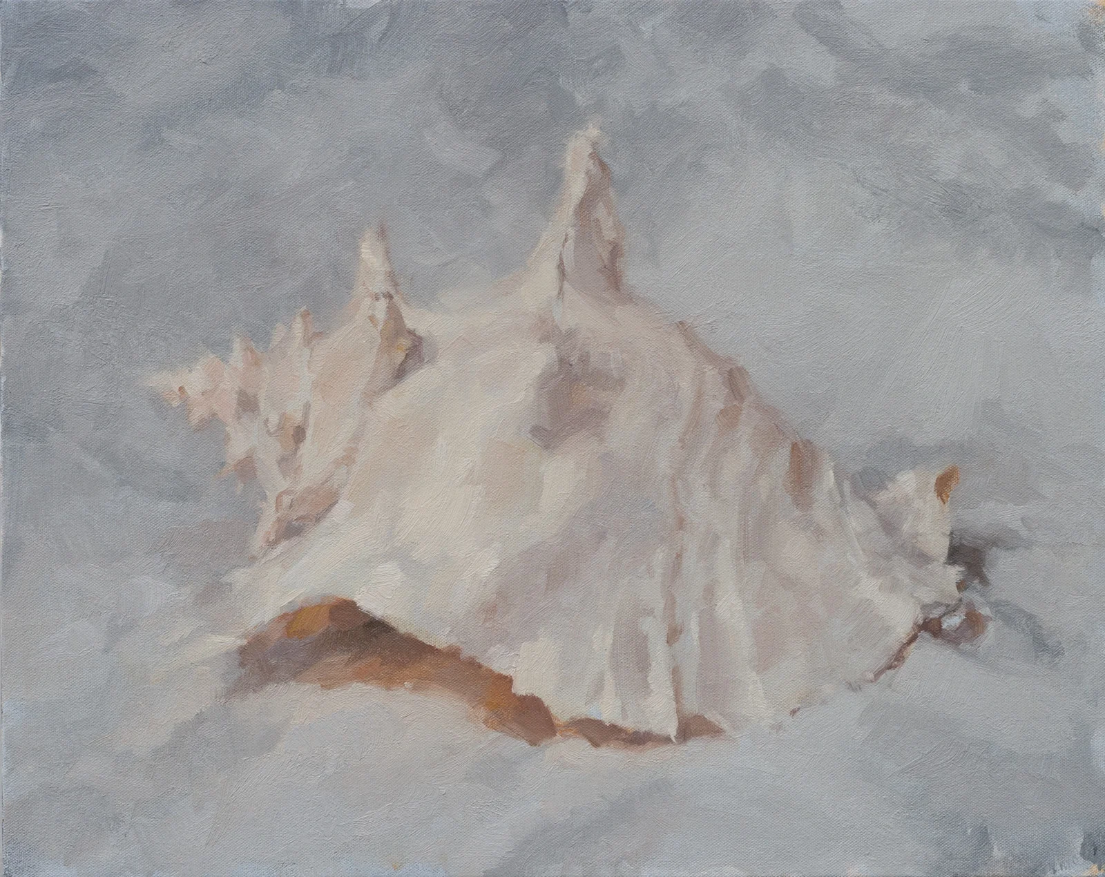White Shell