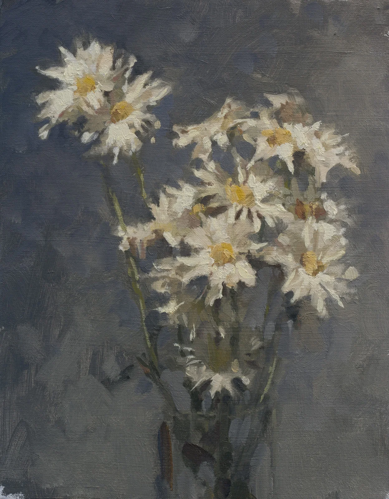 Daisies in grey