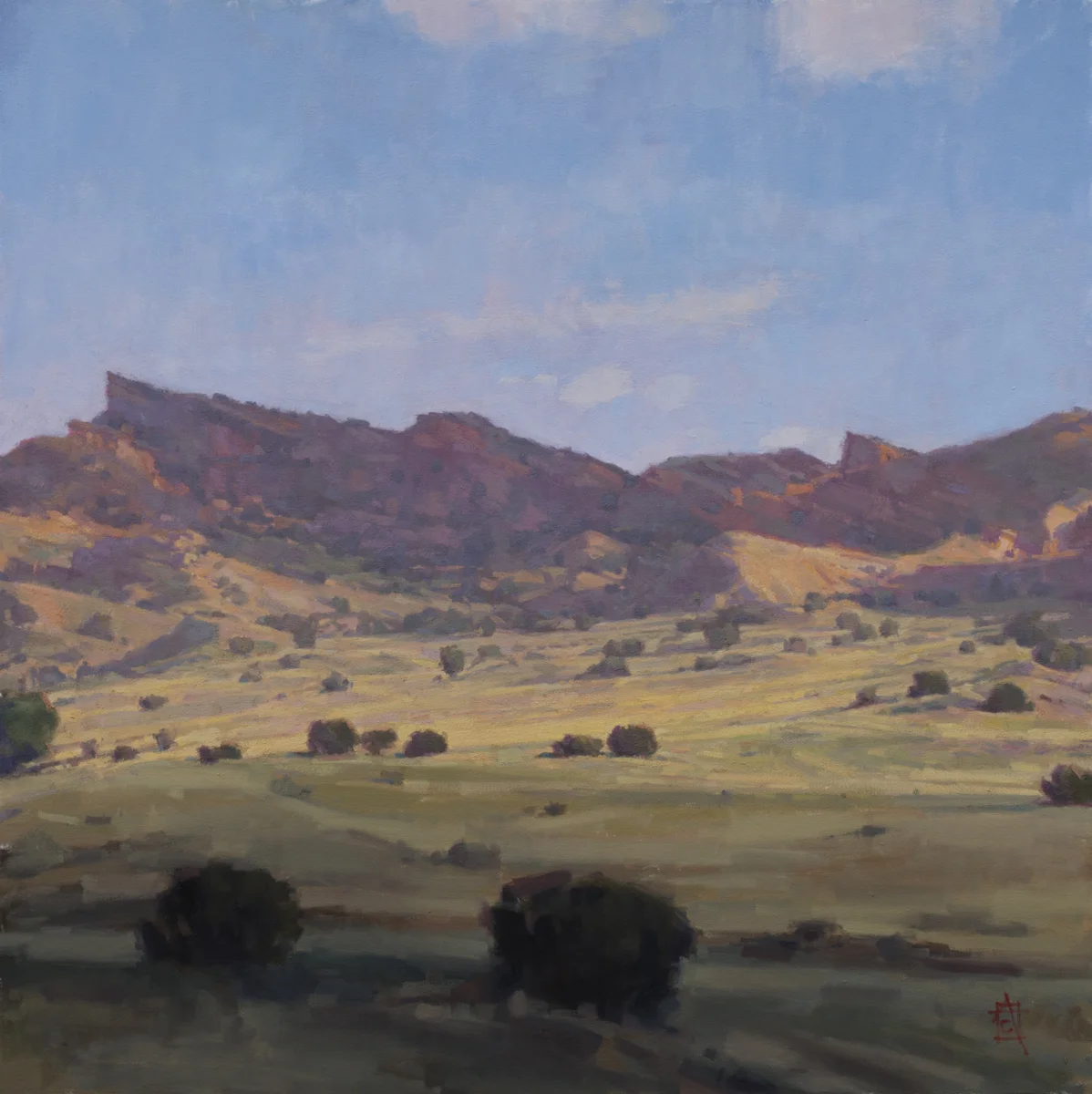 Sombrillo Vista 