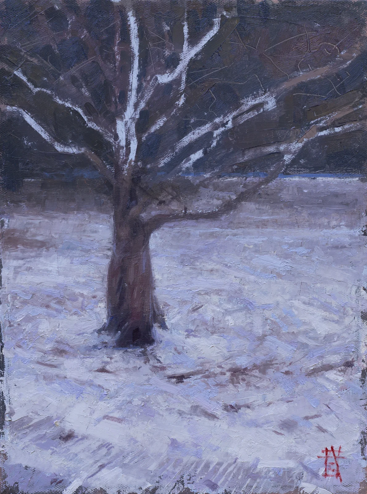 Snow Tree