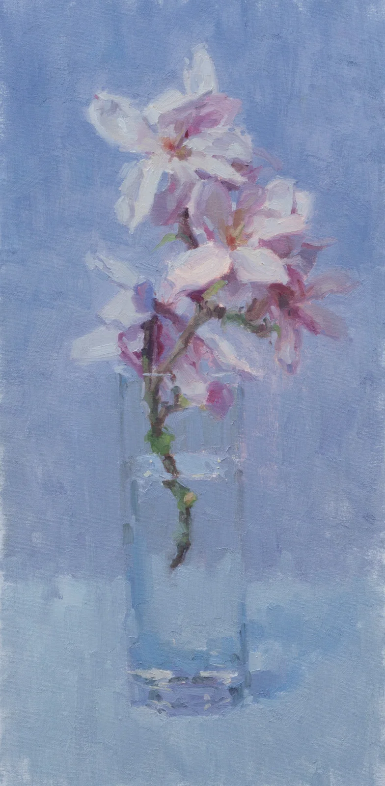 Pink and Blue