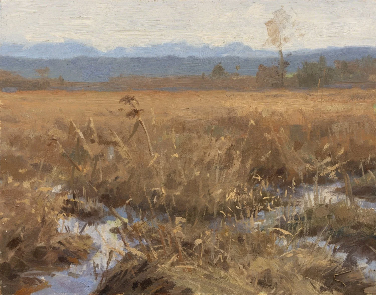 Cherry+Valley+Marsh.jpg