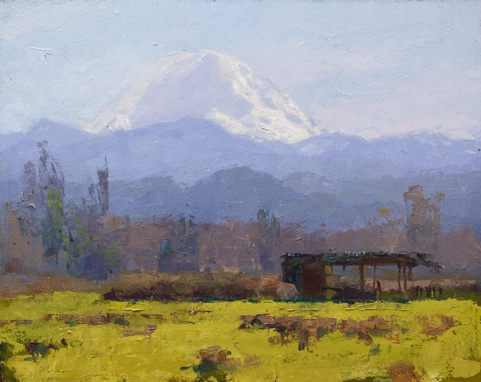 Mt Rainier from Veazie