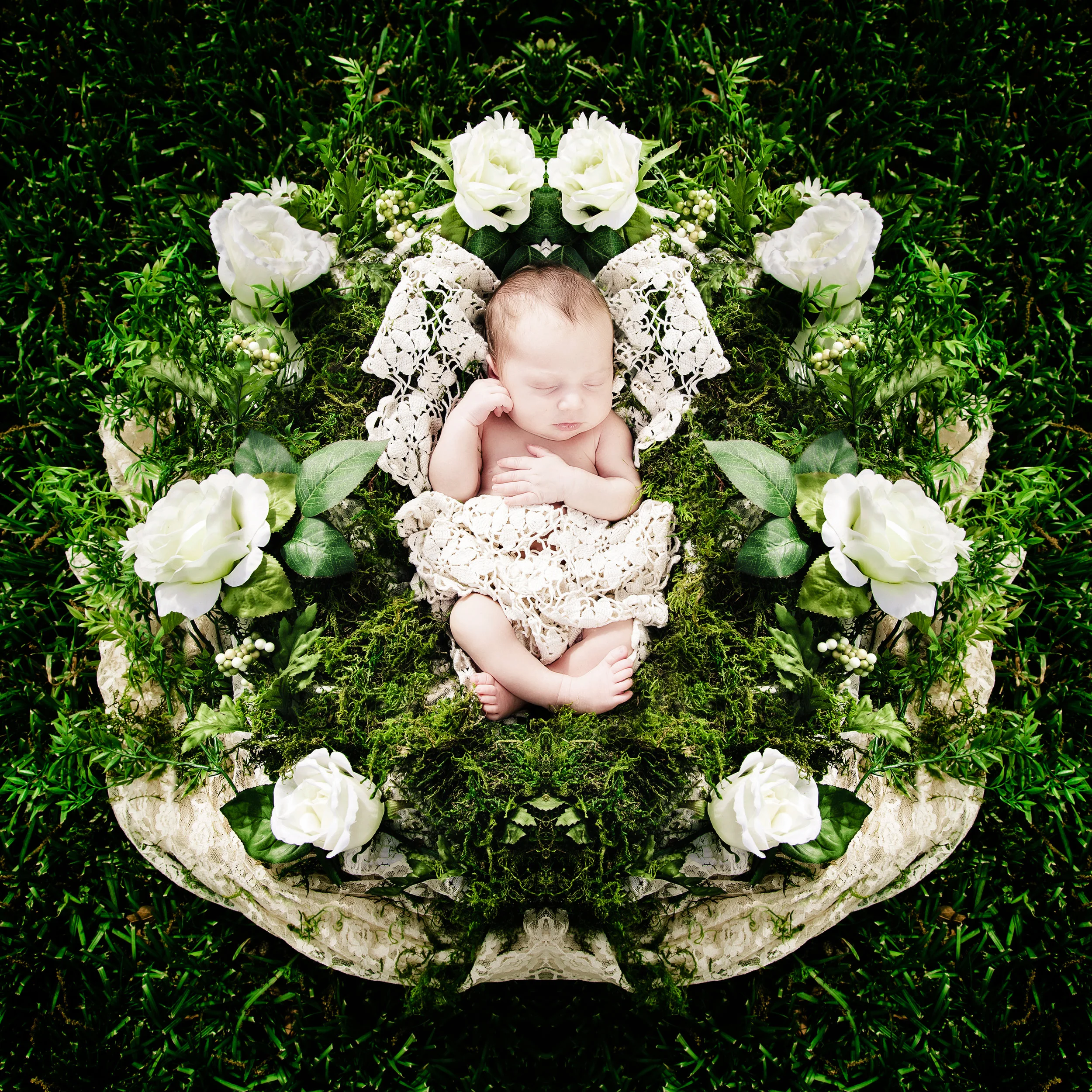 flora in the fern.jpg
