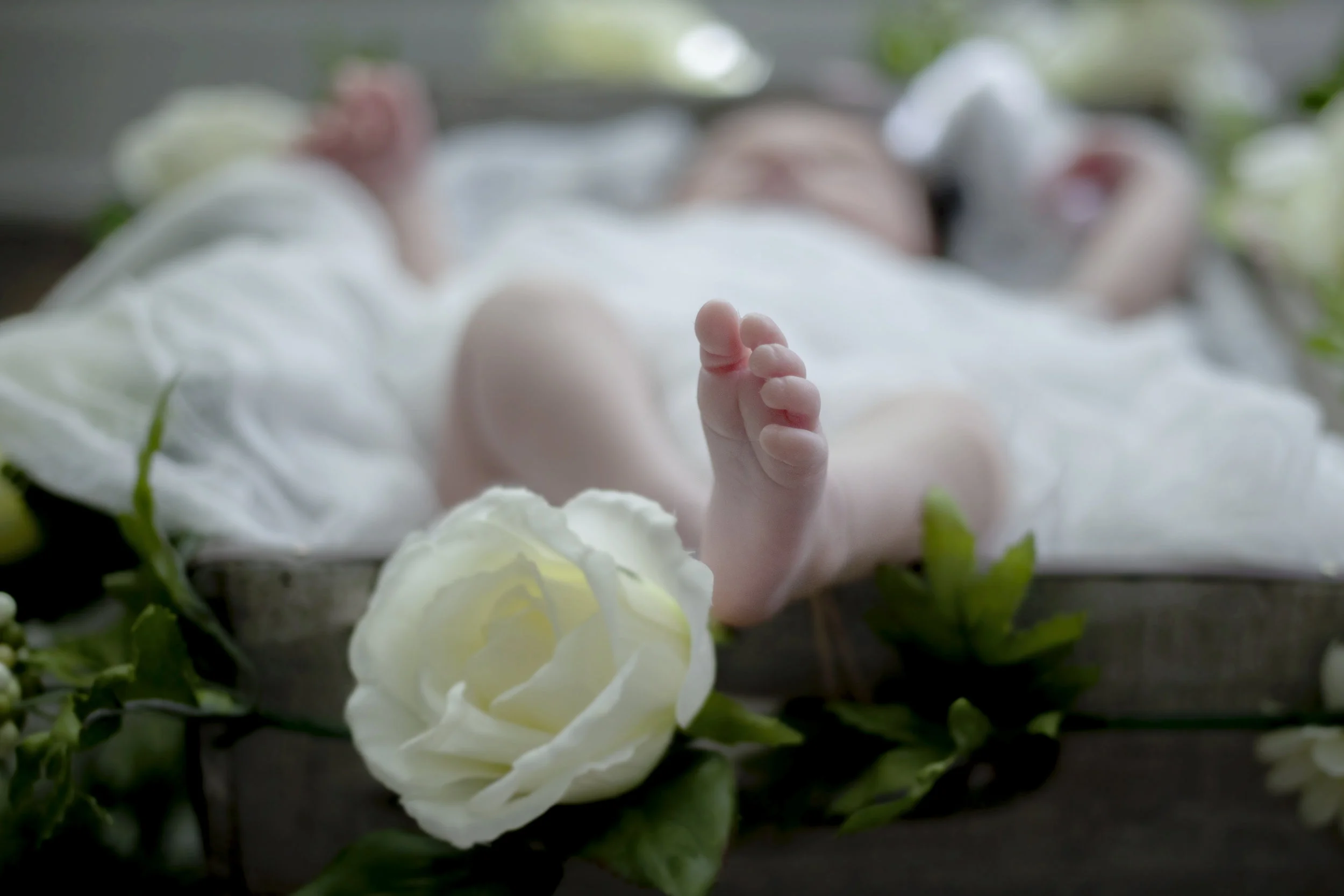 olivia-0136.jpg