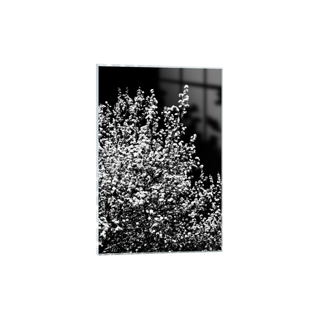 ptq_17_3_85_0_1365_2048_0_false_ffffff_0_0_.png