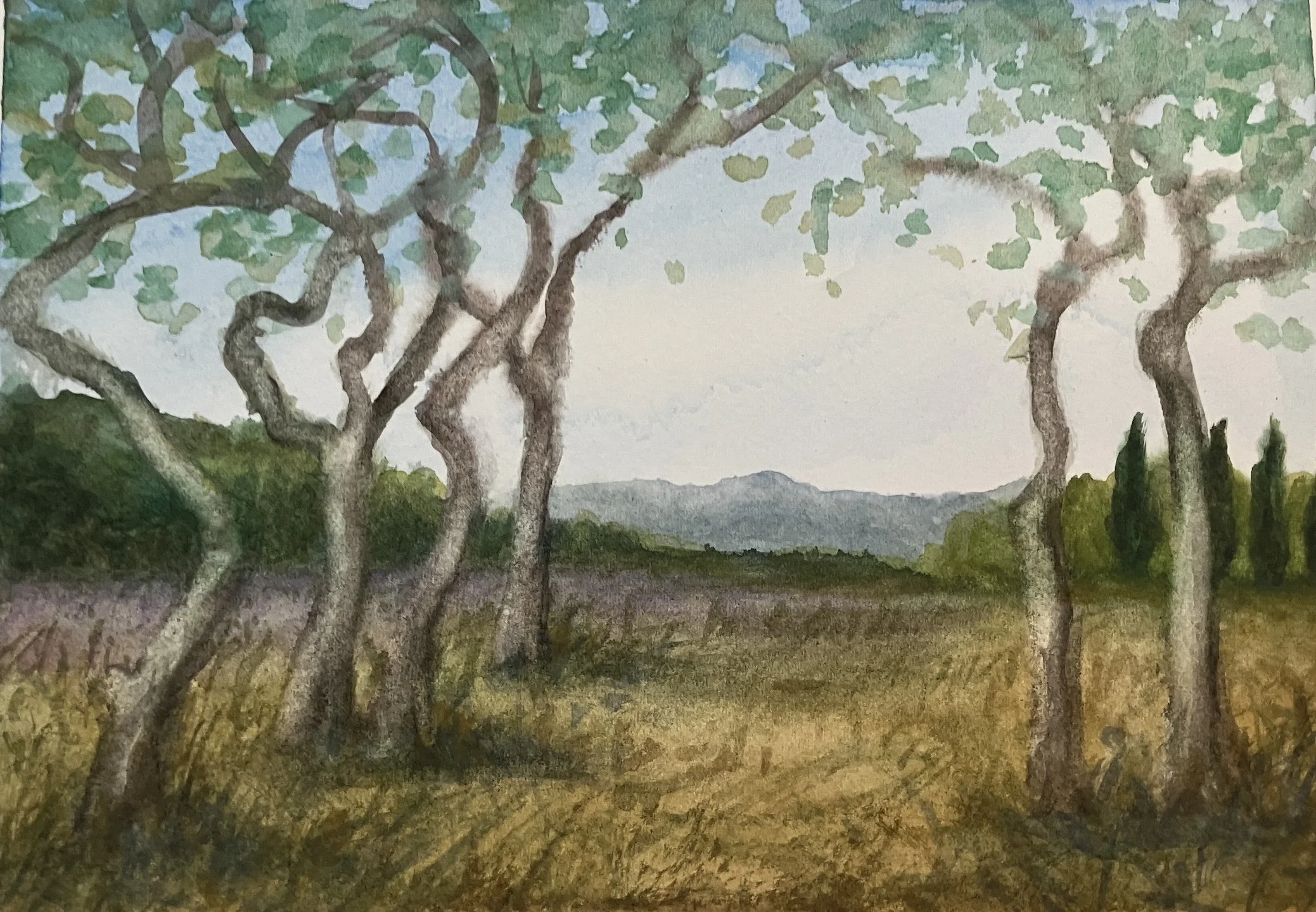 Watercolor study: St. Remy de Provence