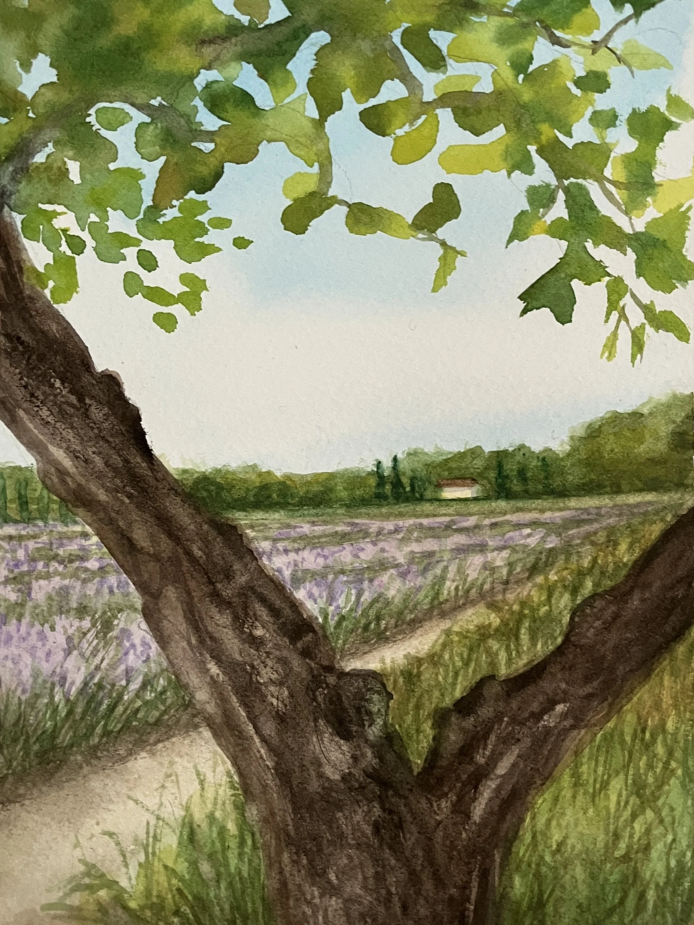 Watercolor Study: St. Remy de Provence