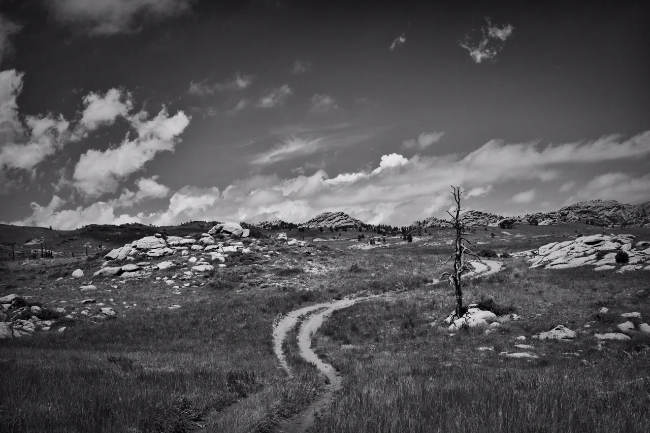 The Unkown Road