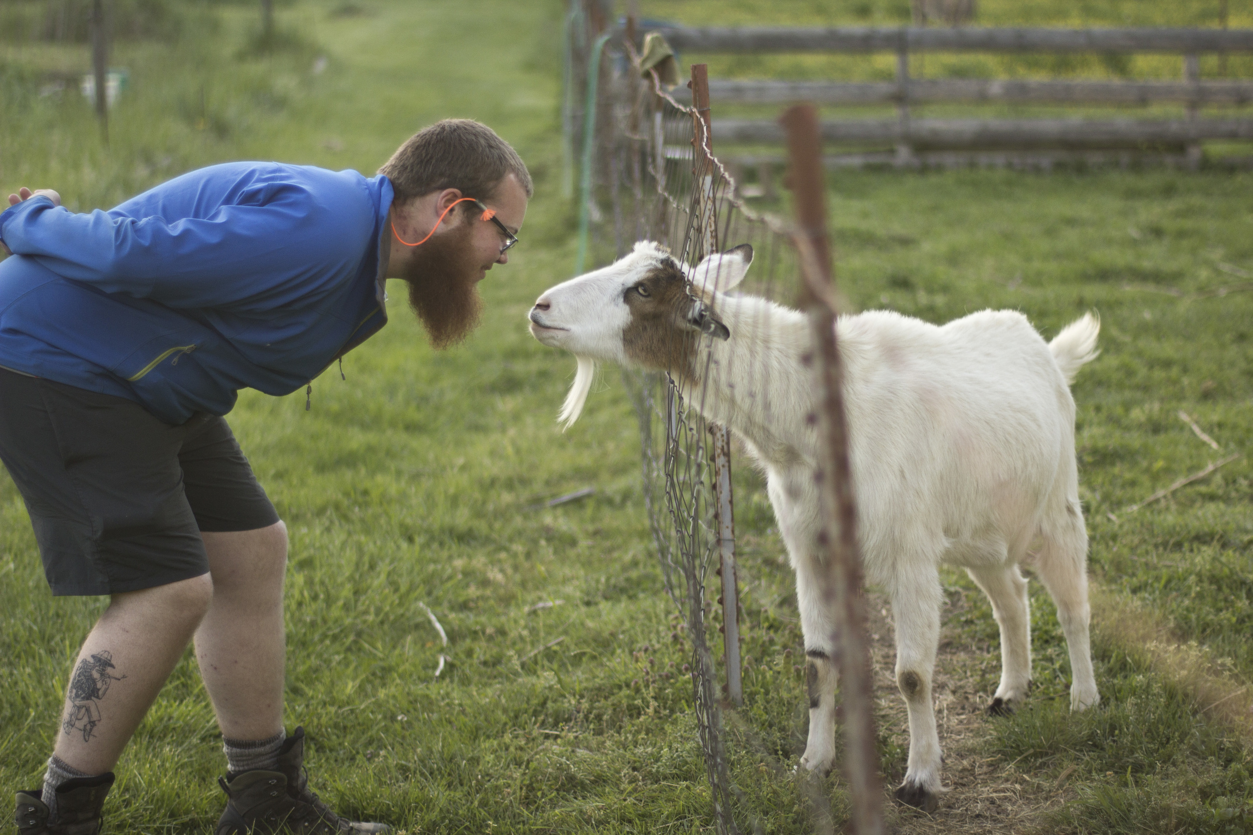 The Professor has a starring contest with a fellow bearded fellow.