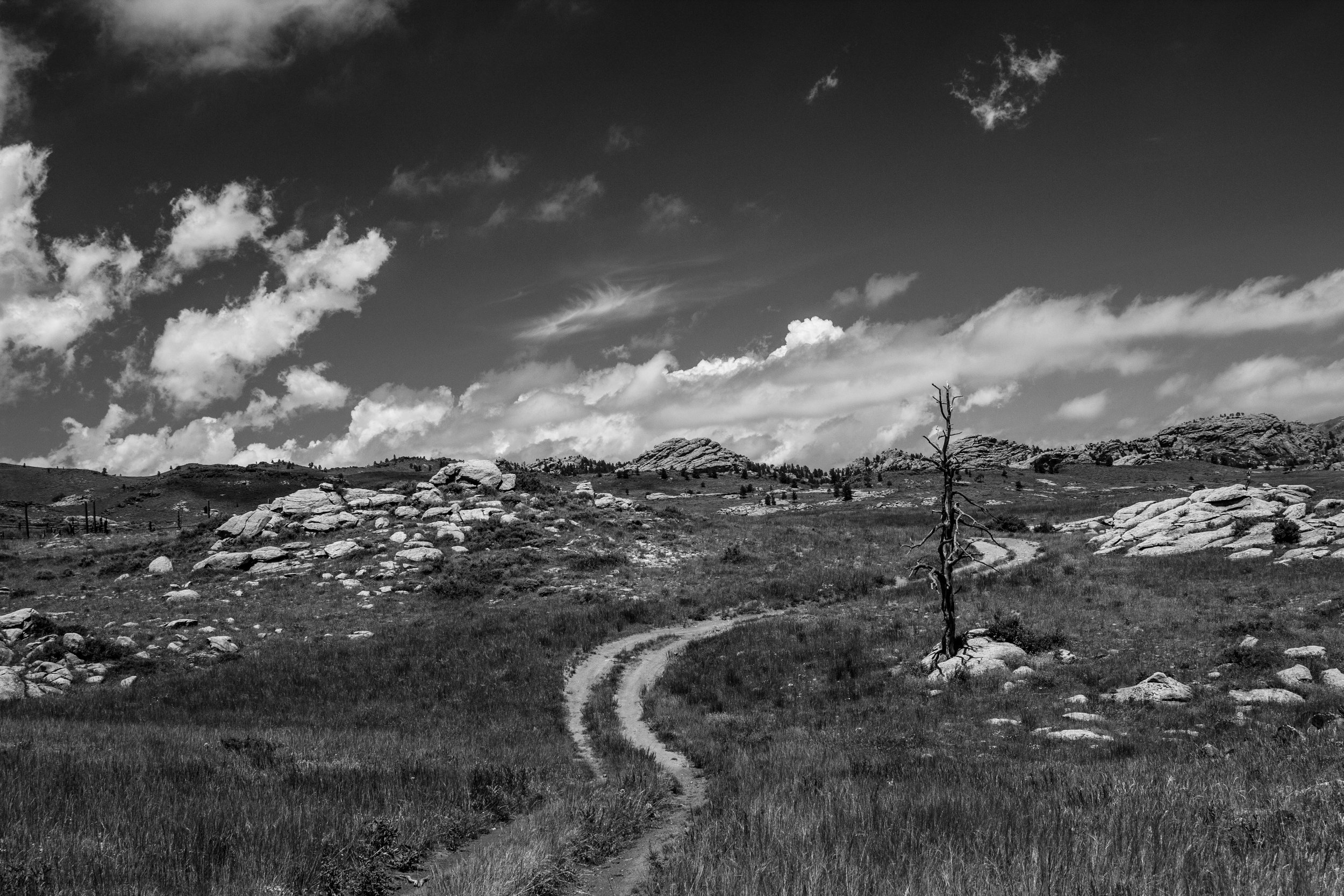 THE UNKNOWN ROAD, WY