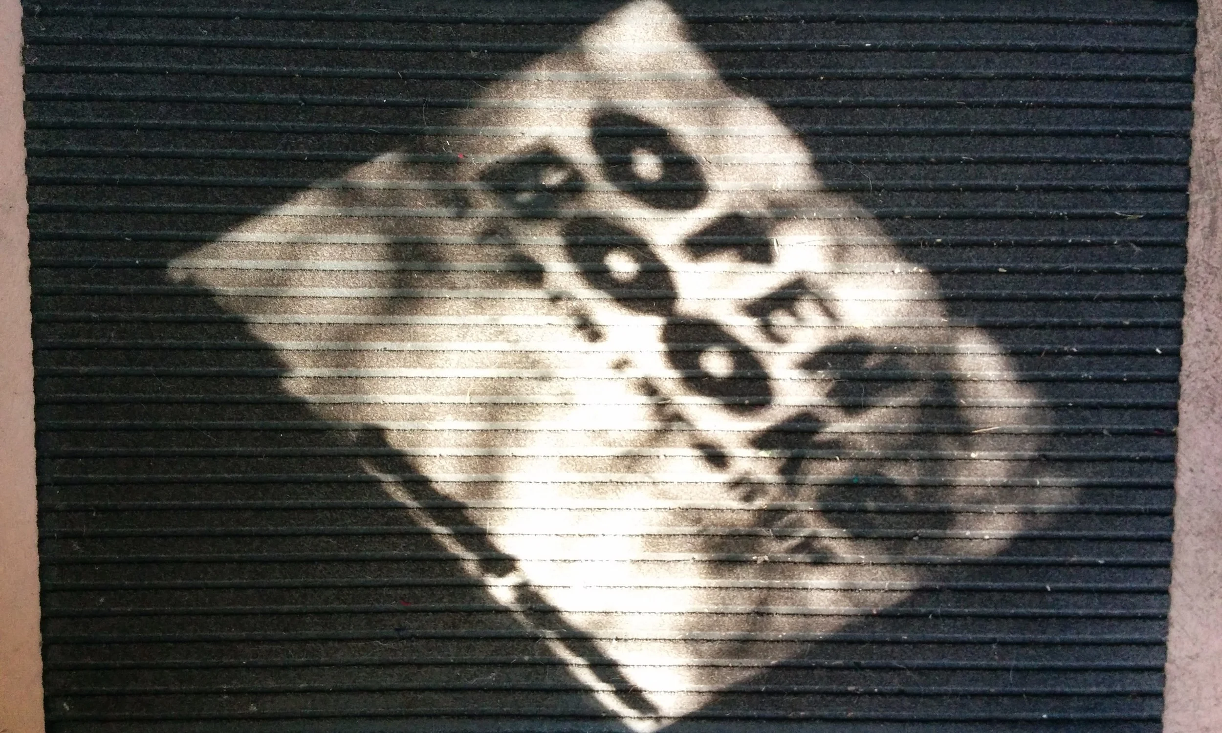 openbooks-photo.jpg