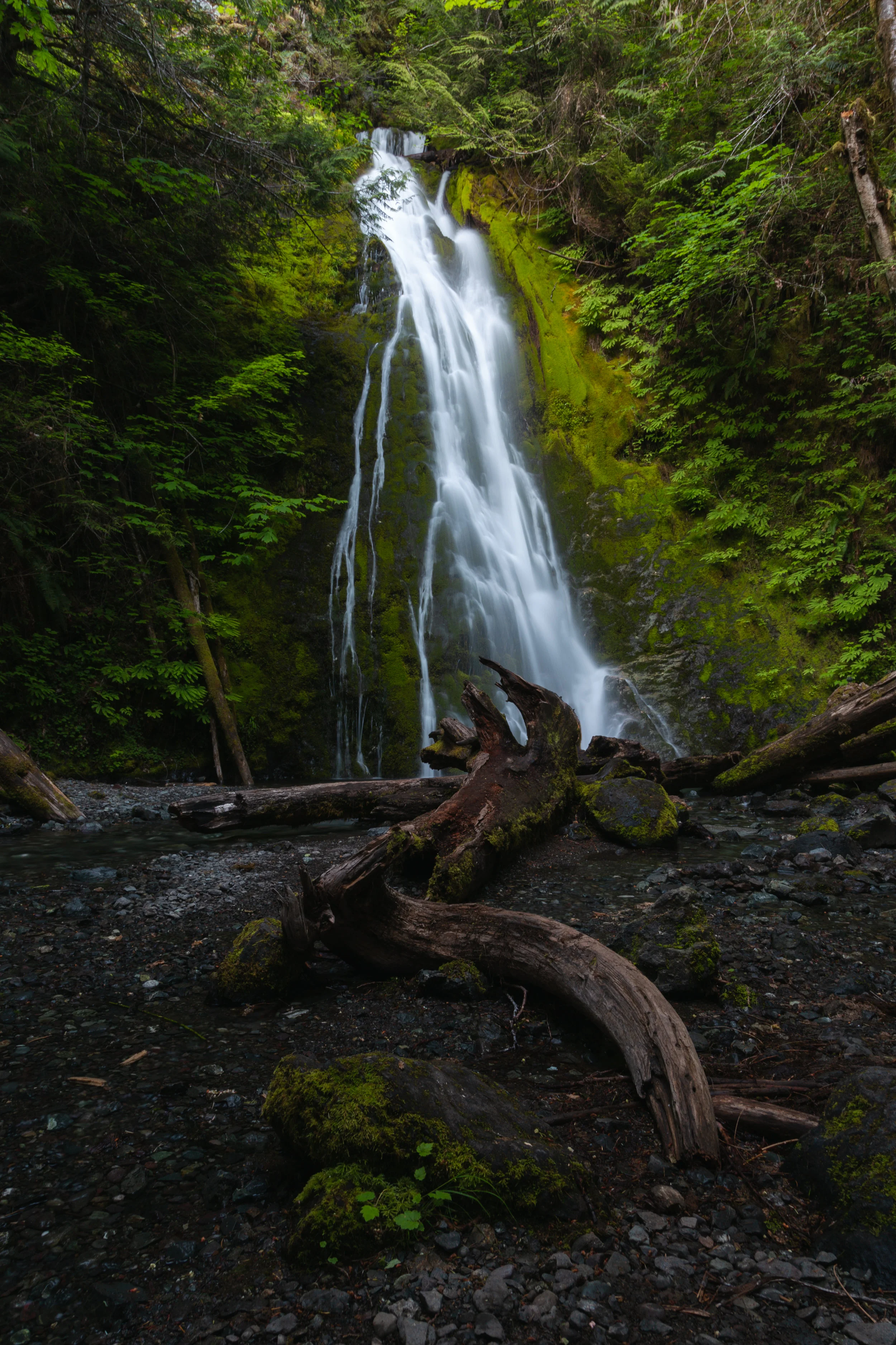 IMG_0581-Edit.jpg