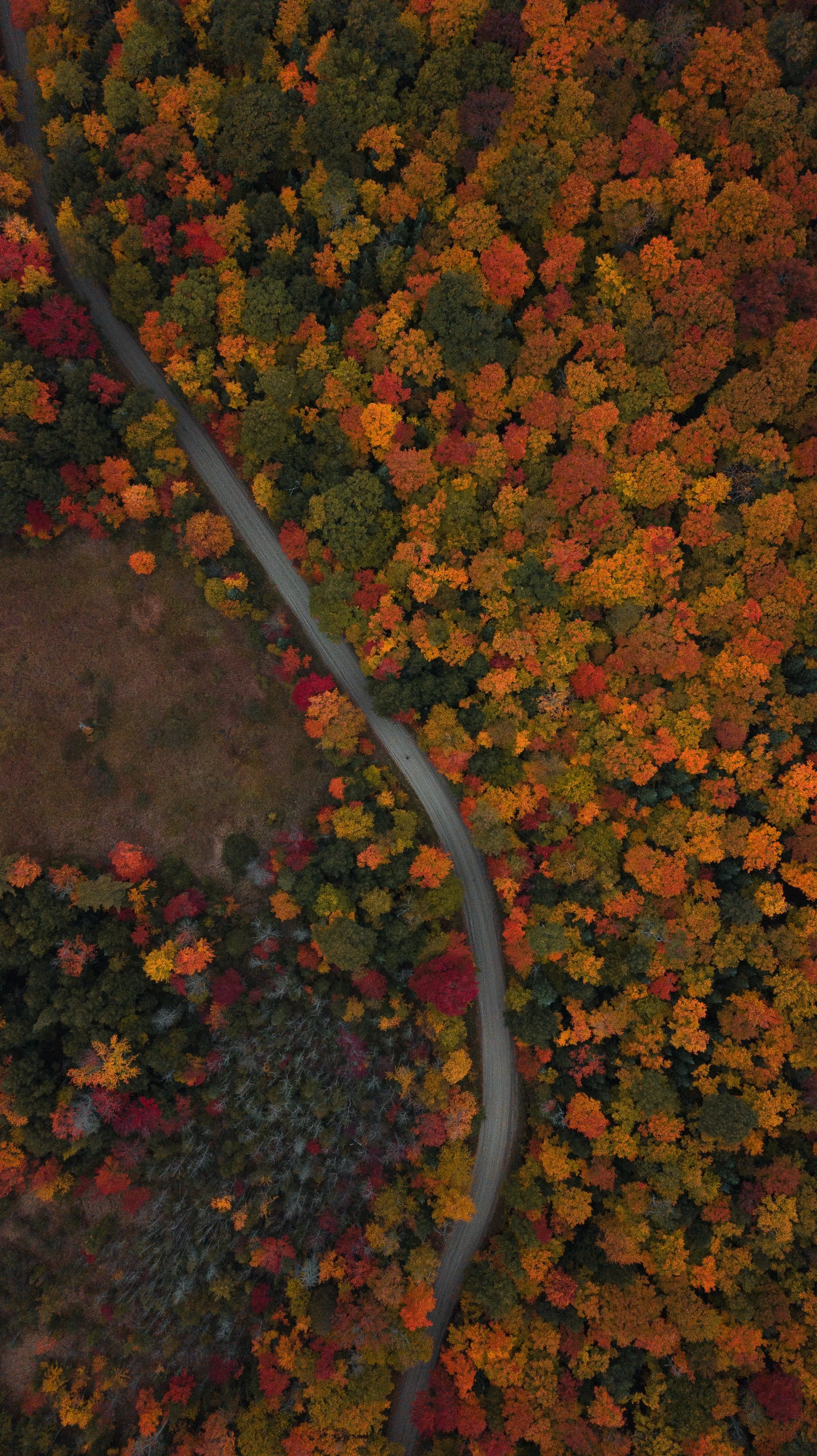 DJI_0033-2.jpg