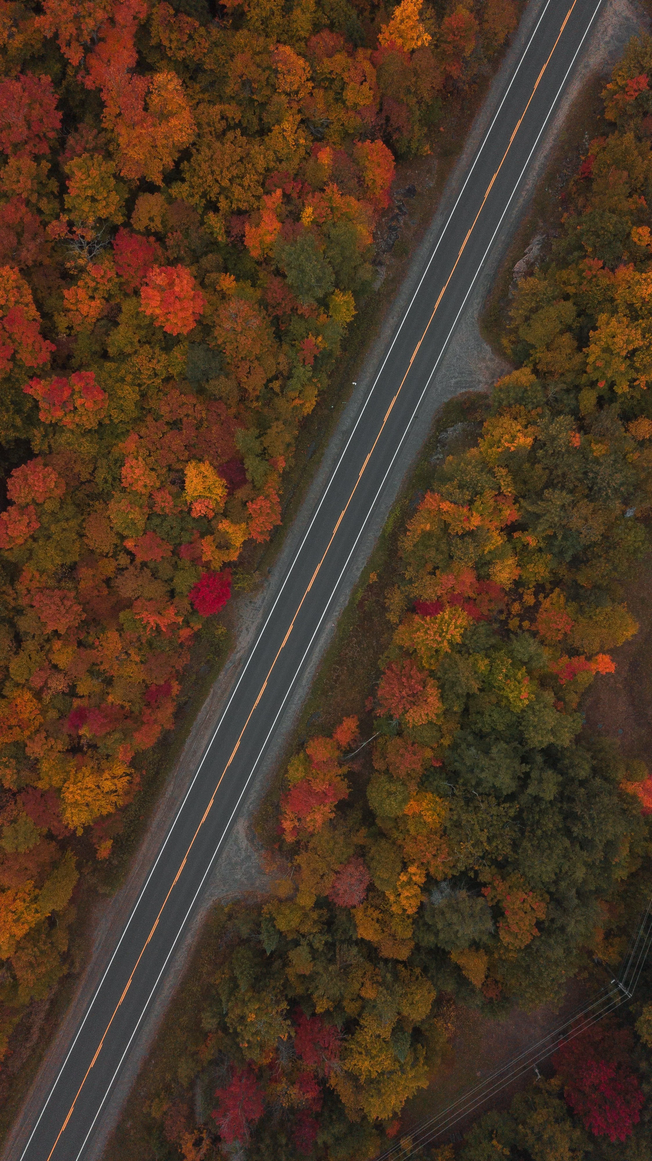 DJI_0132.jpg