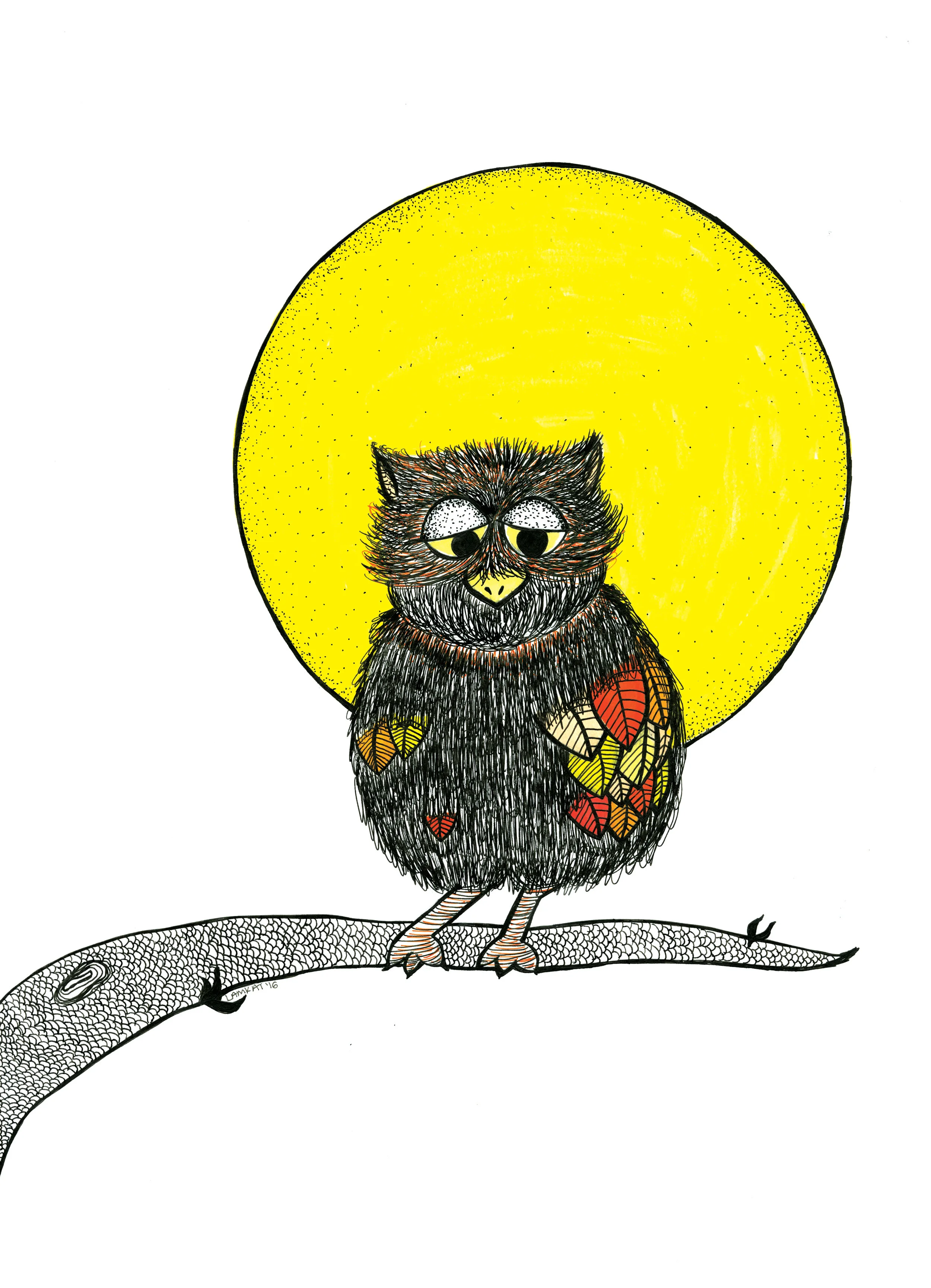 Owl.jpg