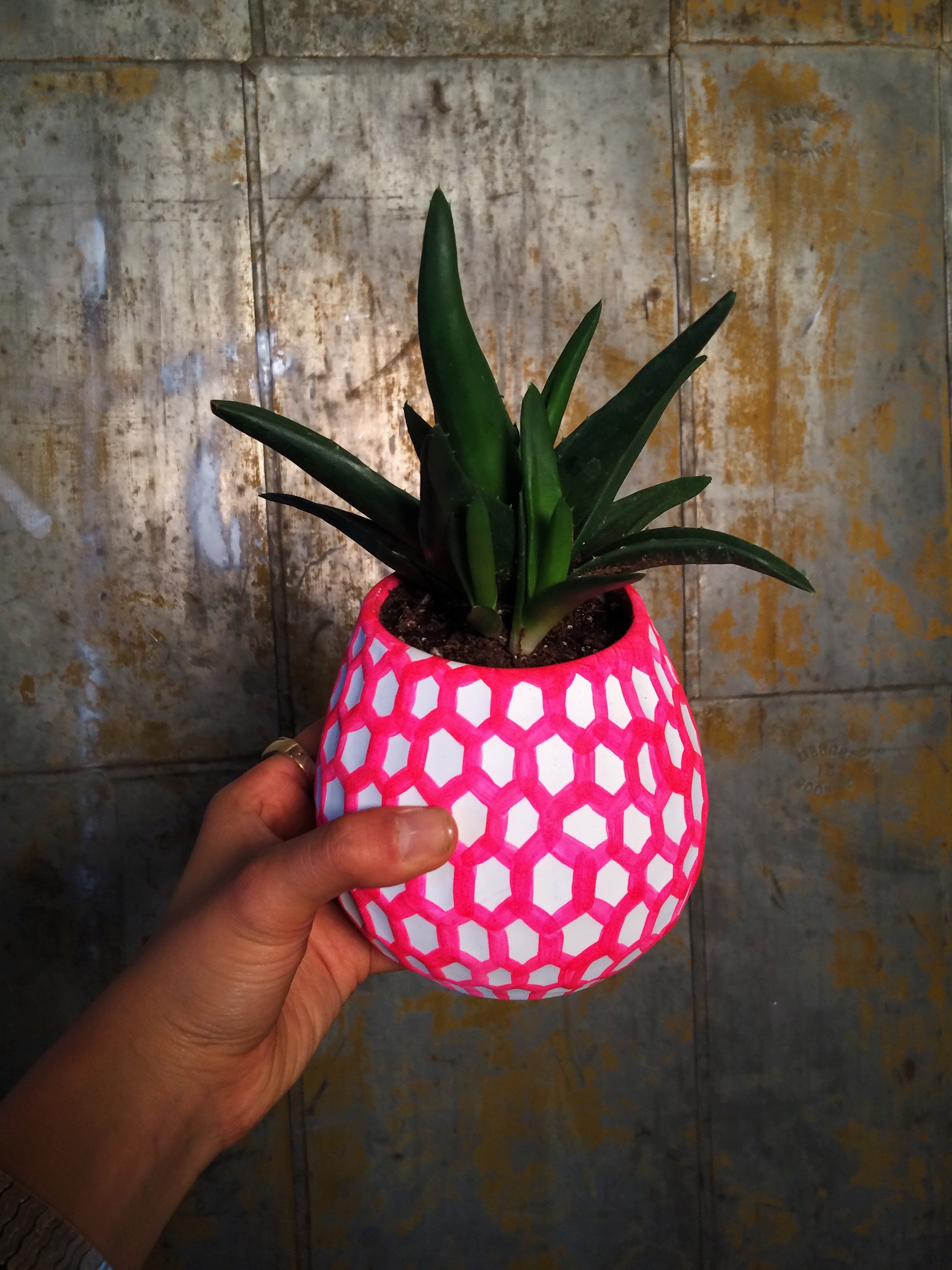 03Pineapple.jpg