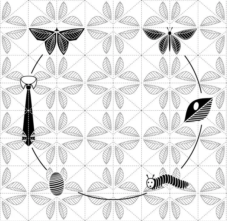 L'histoire du papillon et de la soie