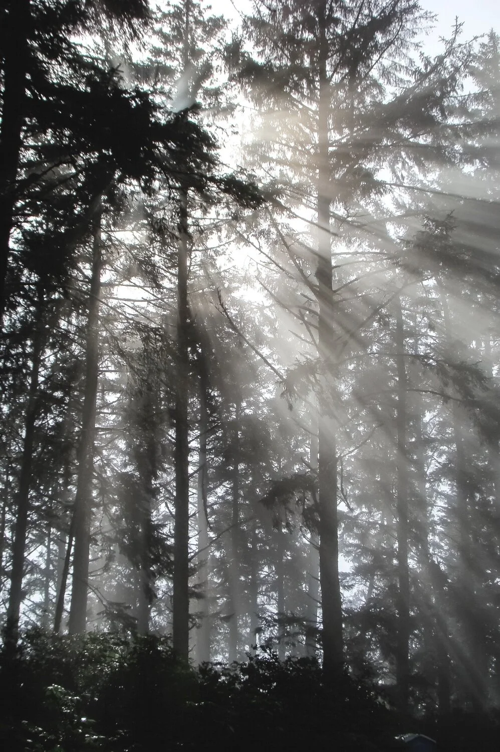 Oregon+Coast_Various+Trip+Faves+08_low+res.jpg