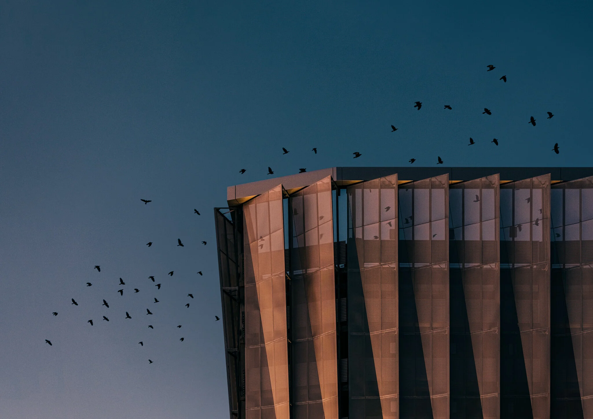 OCC Garage_Night Shot 02_by Erin Riddle_web res.jpg