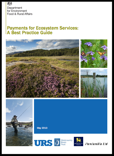 Payments for Ecosystem Services:A Best Practice Guide