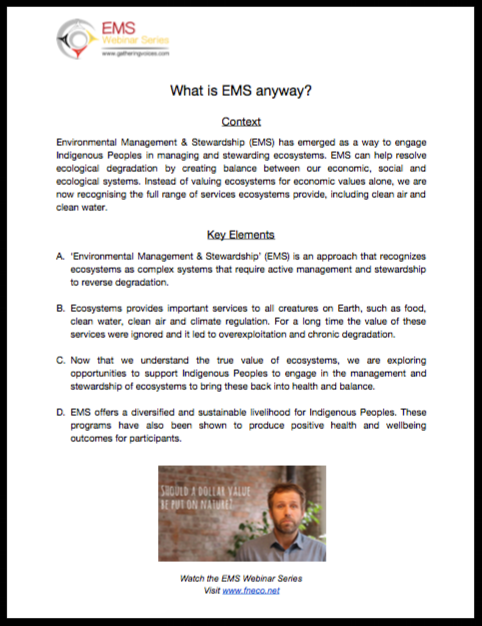 What is EMS anyways?