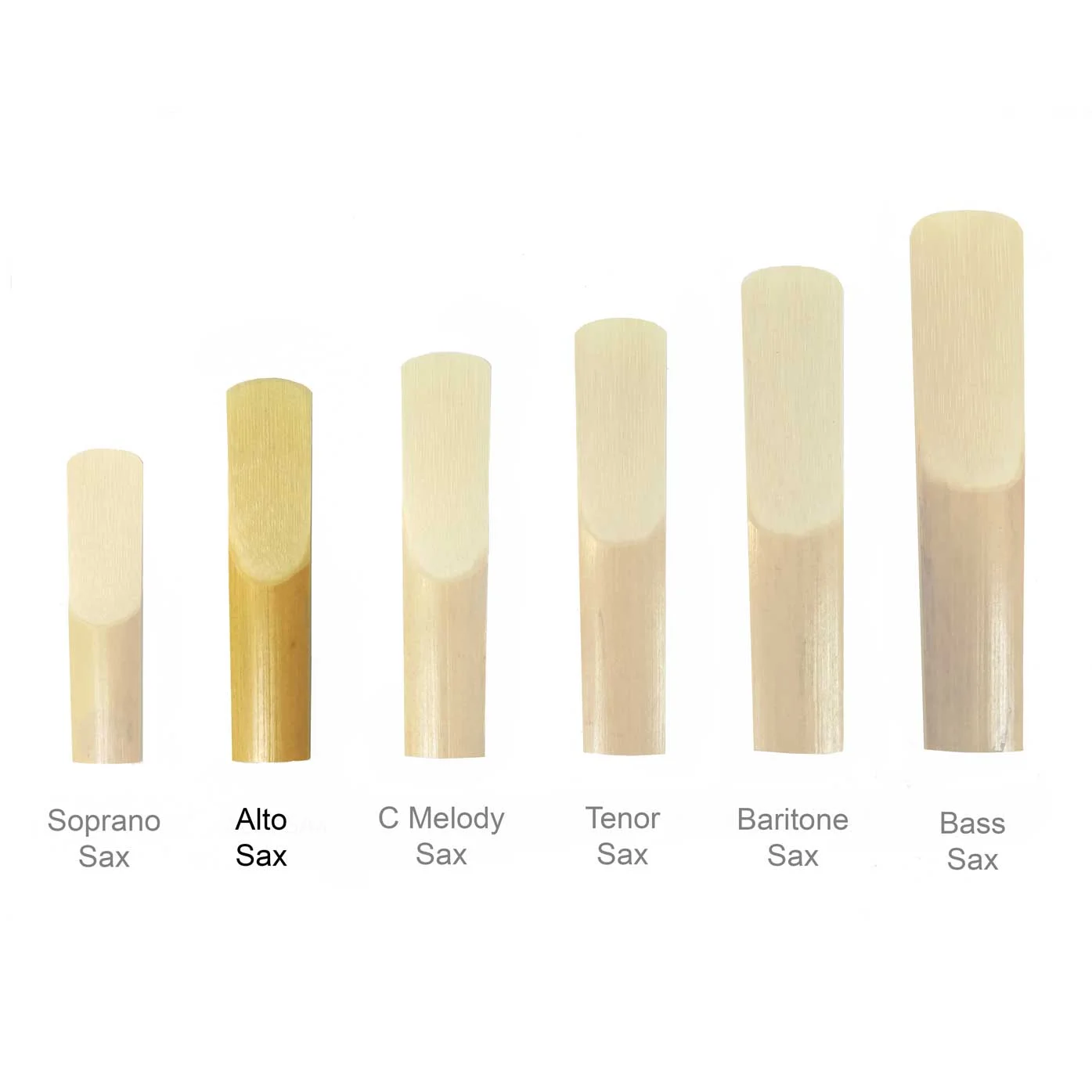 Maccaferri-Sax-Reeds-All-Sizes-alto-sax-reed.jpg
