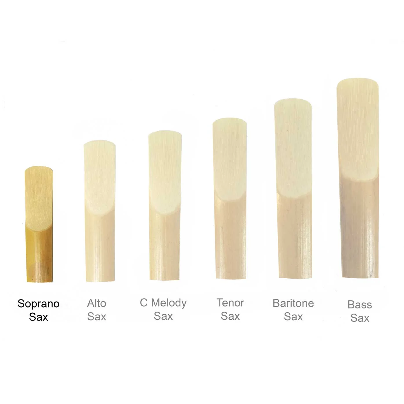Maccaferri-Sax-Reeds-All-Sizes-soprano-sax-reeds.jpg
