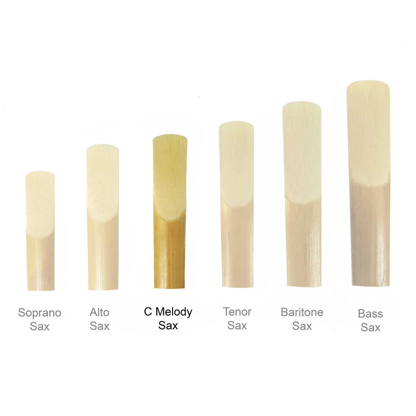 Maccaferri-Sax-Reeds-All-Sizes-c-melody-sax.jpg
