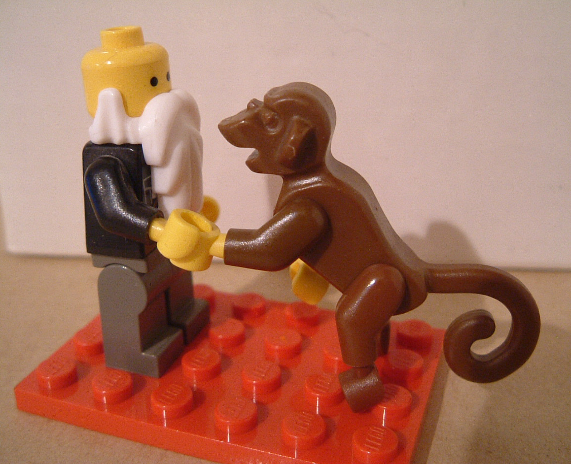 Who doesn't like Legos and Darwin? Bad people. That's who. Photo Credit: https://www.flickr.com/photos/kaptainkobold/ 