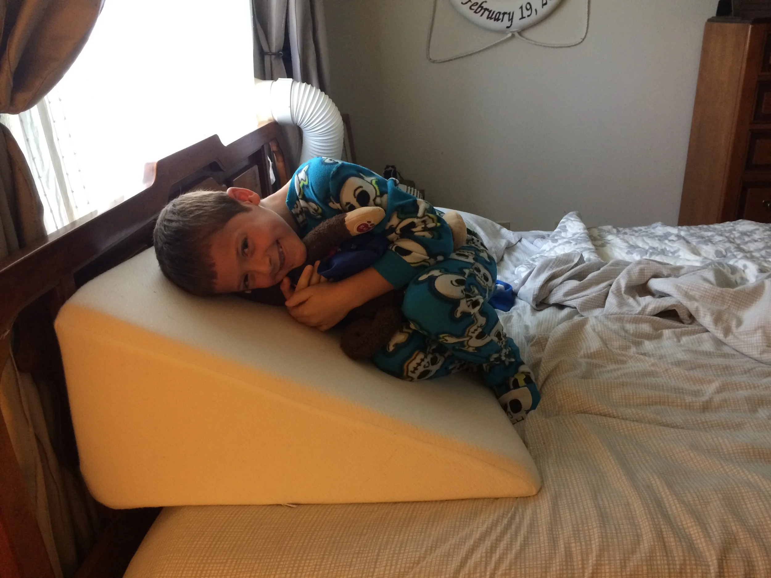 I don't have any photos of the tragedy, or anything really to represent it. So, I offer you two photos of my adorable child instead. He was being quite the ham, with my pillow.