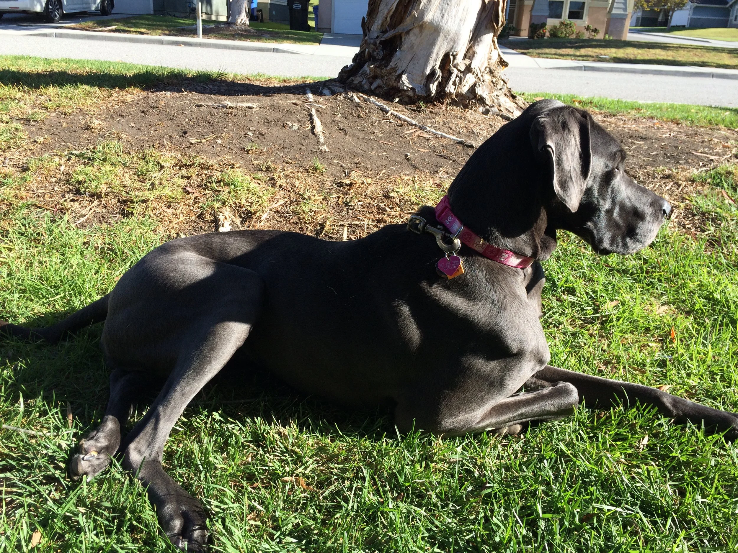 She's glorious when she's basking, isn't she? She thinks she is, and she owns it. Work it, girl. Work it.