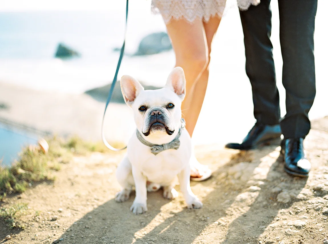 Adriana Klas Photography-131.jpg