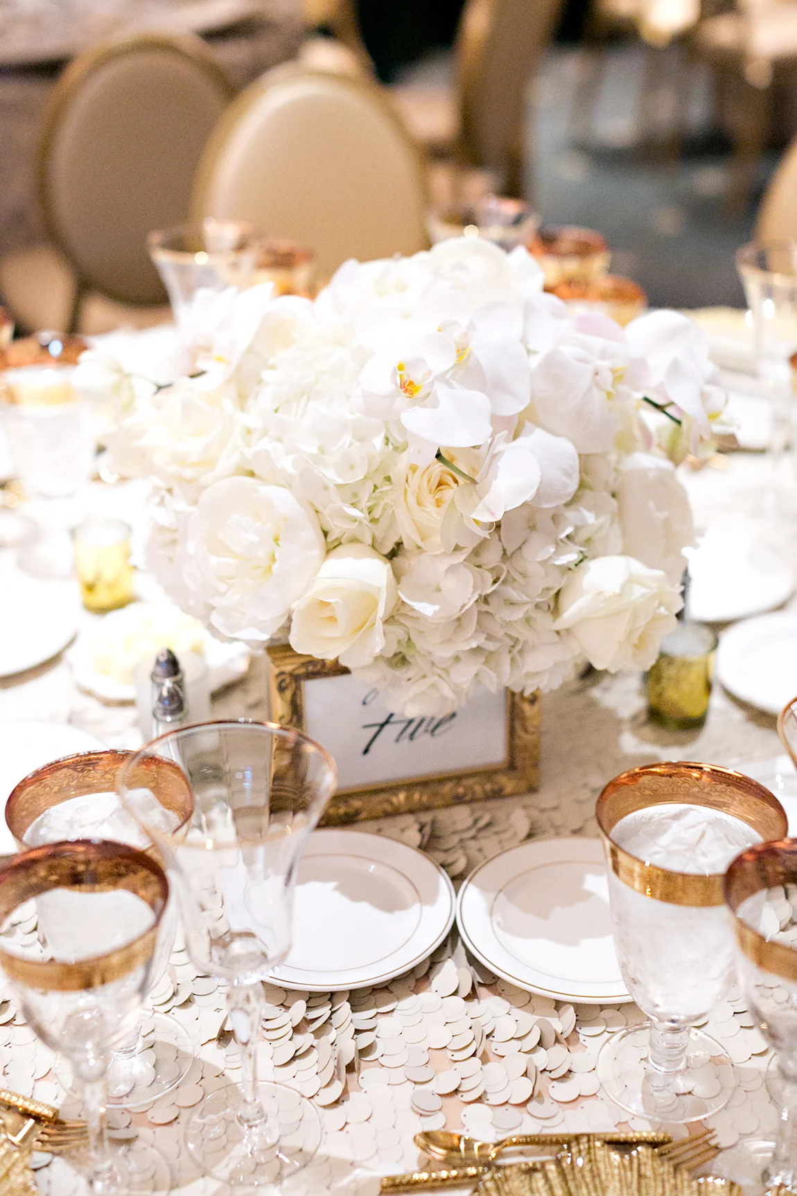 Adriana Klas Photography-675.jpg