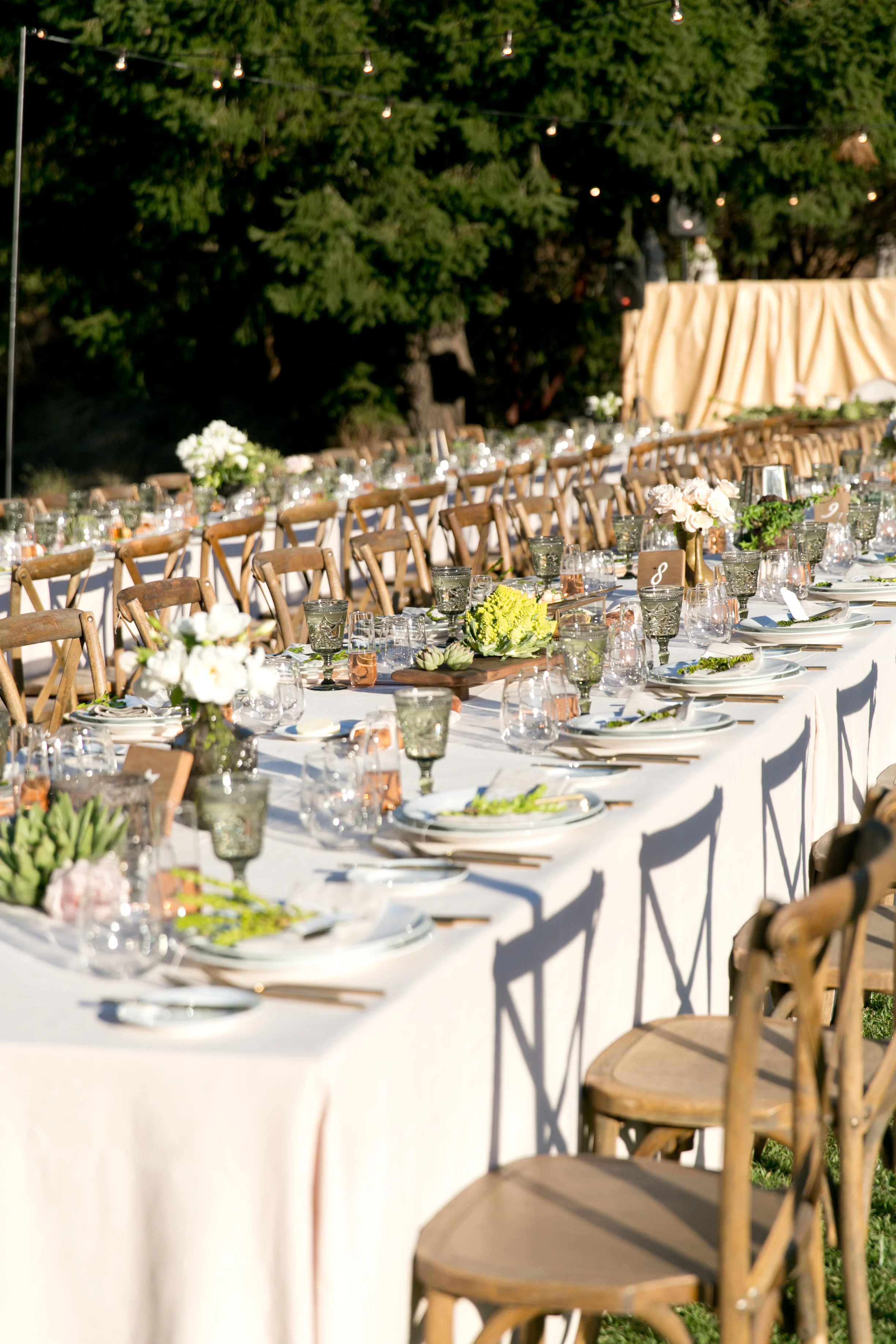 Adriana Klas Photography-750-2.jpg
