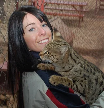 Julie's New Cattery 