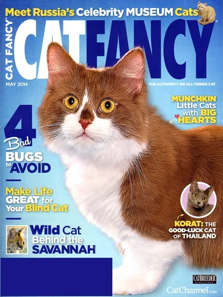May 1st, 2014 - Cat Fancy Magazine 