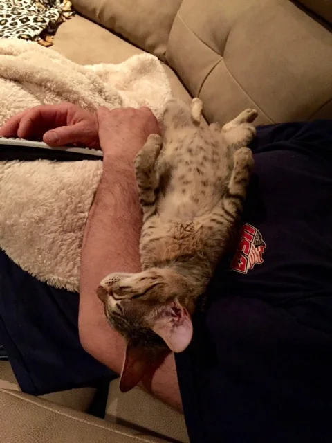 Oliver 1.jpg