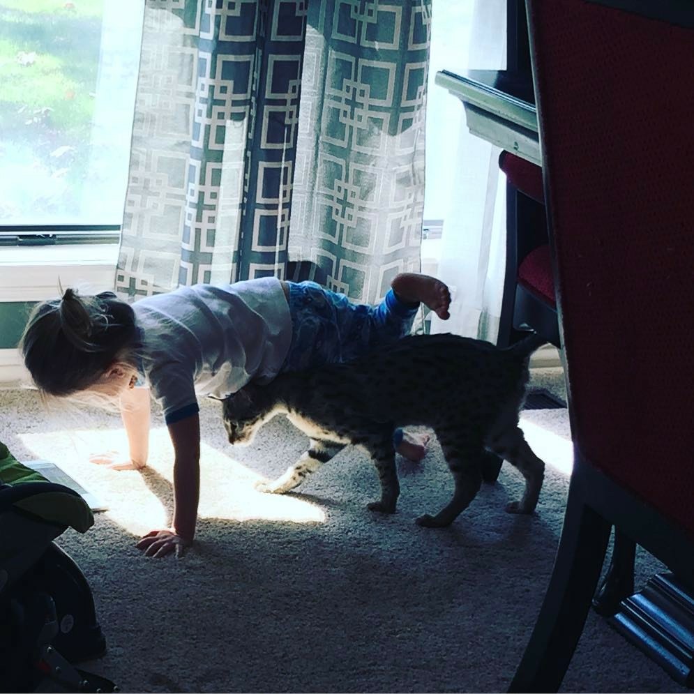 A1Savannahs F2 Lukas doing his morning Yoga with child