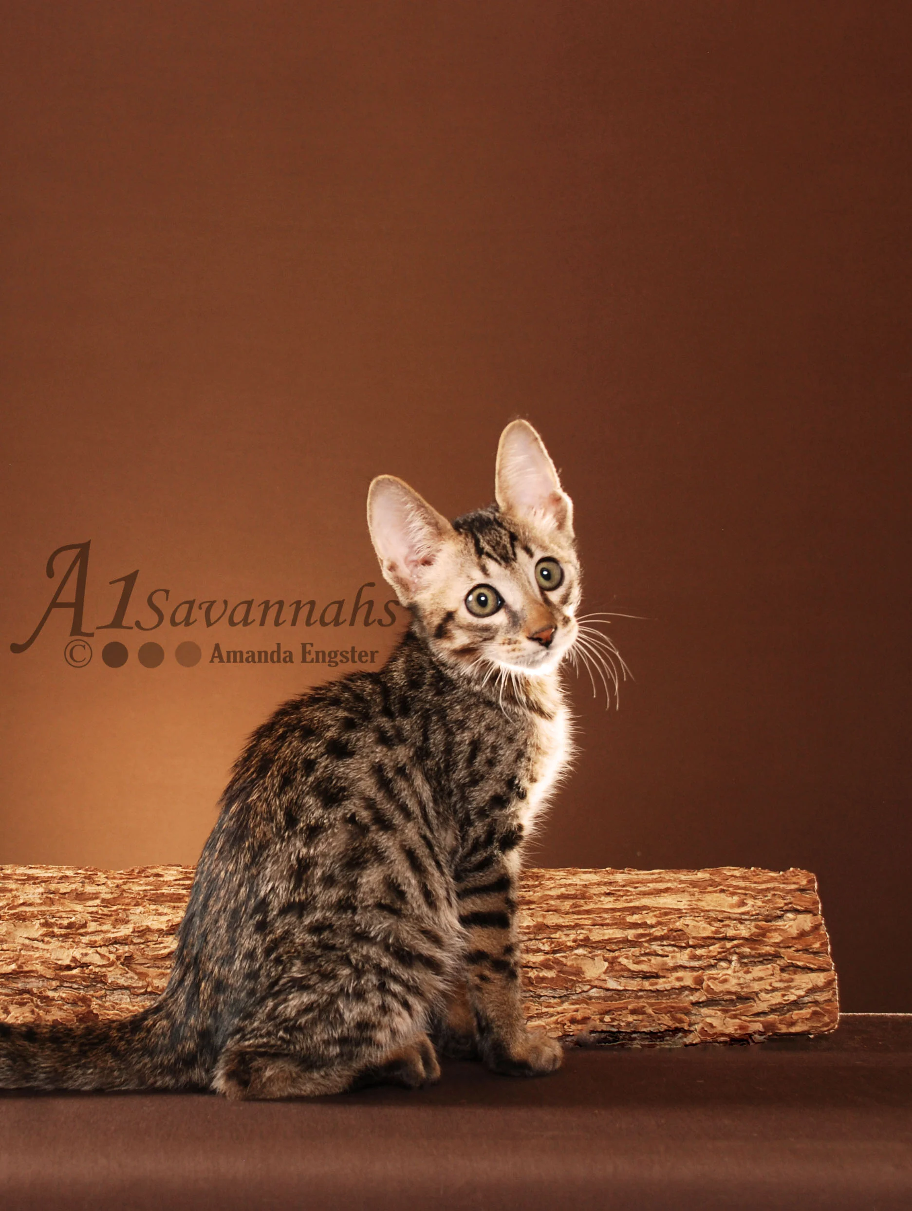 A1 Savannahs F5 Leroux