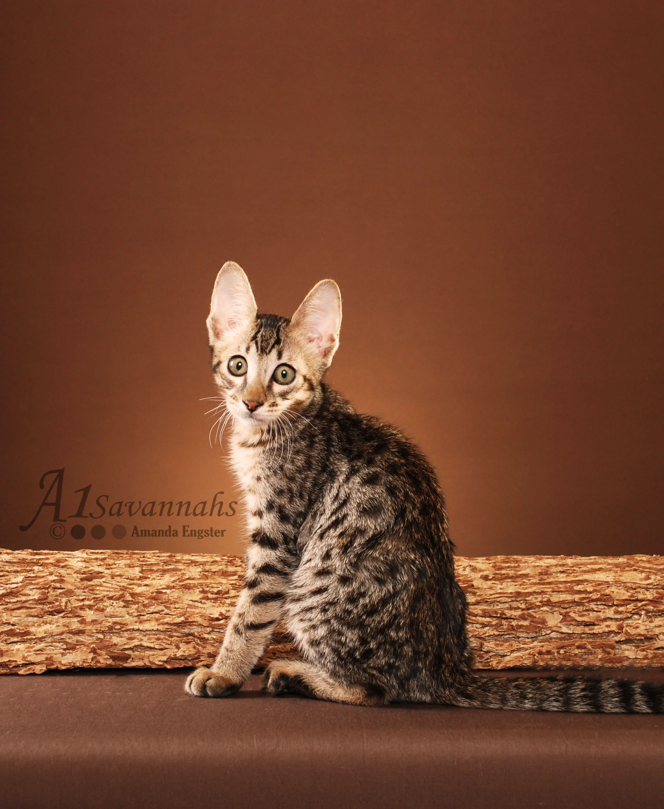 A1 Savannahs F5 Leroux