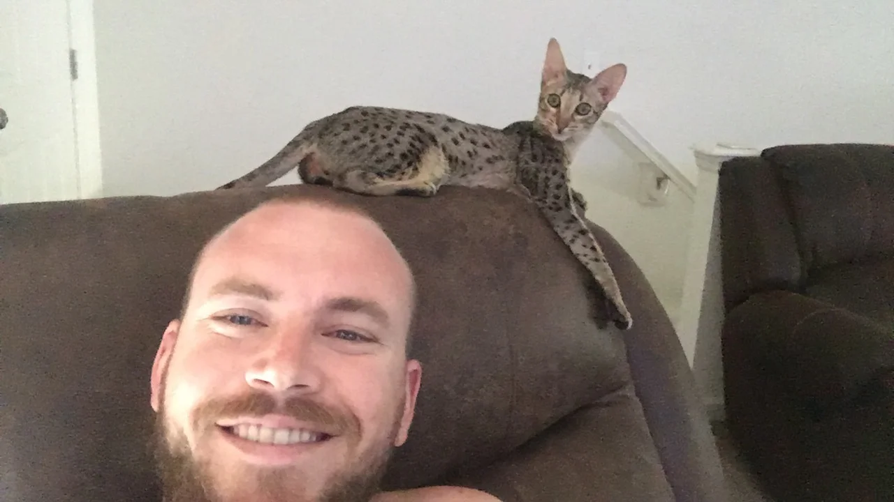 A1 Savannahs Chip (Theo) SBT Male Savannah Kitten