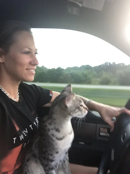 A1 Savannahs F2 Male Lukas