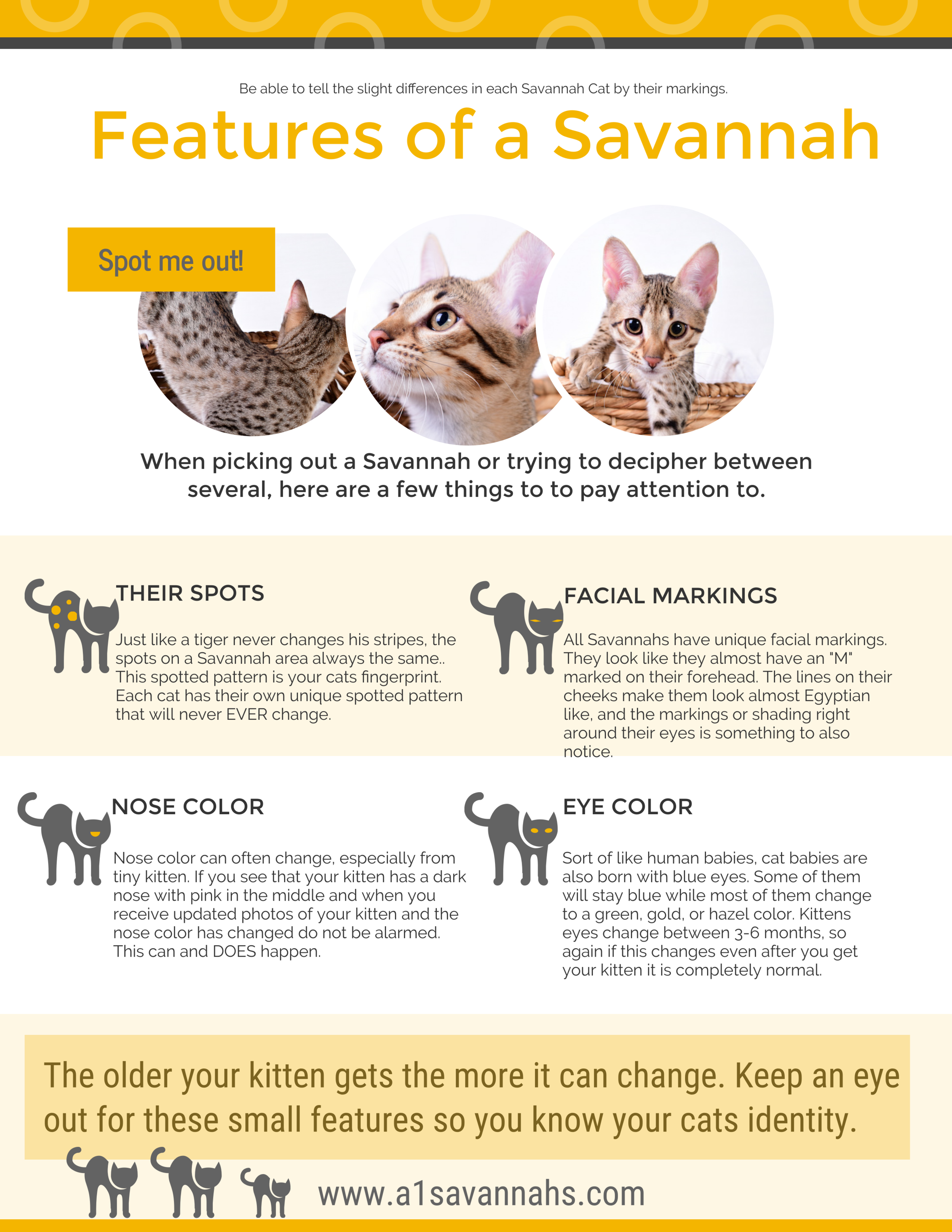 Savannah Cat Patterns